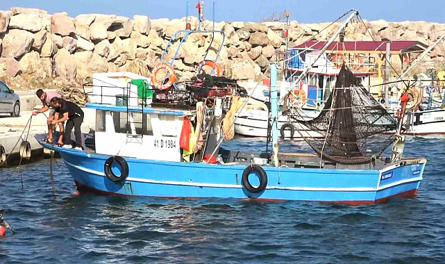 Hamsi sezonu bittiği için avlanan istavrit adeta katlediliyor