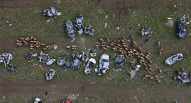 Hatay’da araç mezarlığı koyunlara otlak oldu