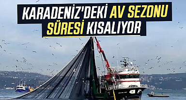 Karadeniz'deki av sezonu süresi kısalıyor