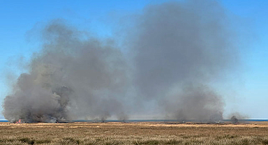 Kızılırmak Deltası Kuş Cenneti'nde yangın
