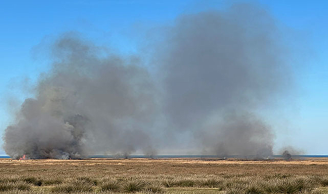 Kızılırmak Deltası Kuş Cenneti'nde yangın