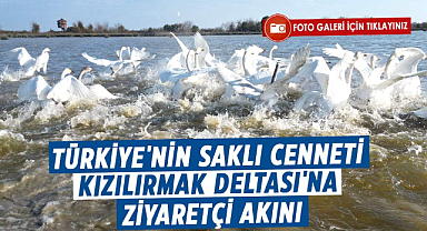 Kızılırmak Deltası Kuş Cenneti'ne bir yılda 100 bin ziyaretçi