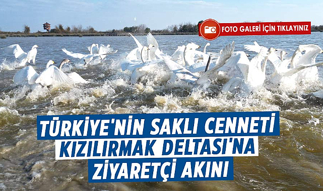 Kızılırmak Deltası Kuş Cenneti'ne bir yılda 100 bin ziyaretçi