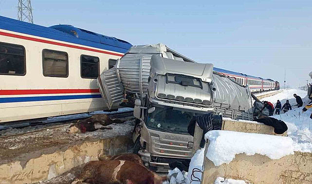 Muş’ta hayvan yüklü tıra tren çarptı! Ölüler var