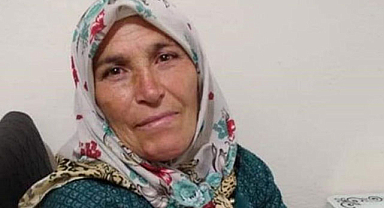 Ordu'da beslediği öküzün saldırısına uğrayan kadın can verdi