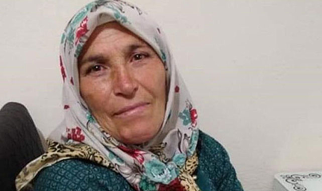 Ordu'da beslediği öküzün saldırısına uğrayan kadın can verdi