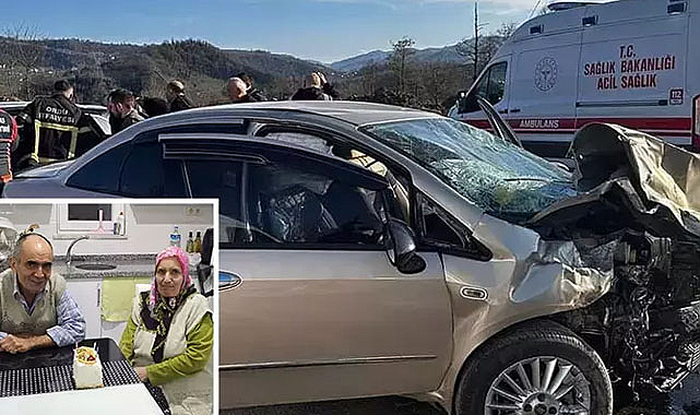 Ordu'da kahreden kaza