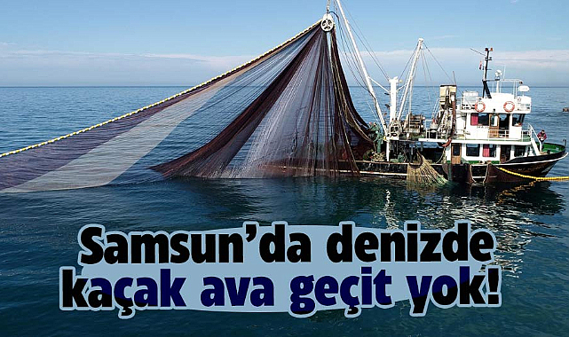 Samsun’da denizde kaçak ava geçit yok!