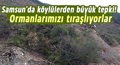 Samsun'da köylülerden büyük tepki: ‘Ormanlarımızı kesmiyor adeta tıraşlıyorlar’
