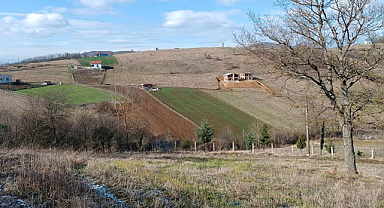 Samsun'da Tapu'dan devlete milyonlarca lira gelir!