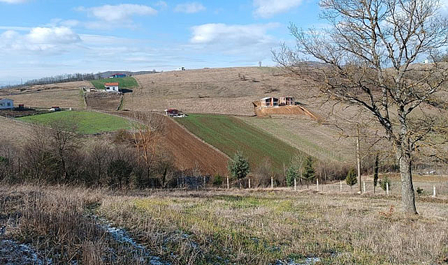 Samsun'da Tapu'dan devlete milyonlarca lira gelir!