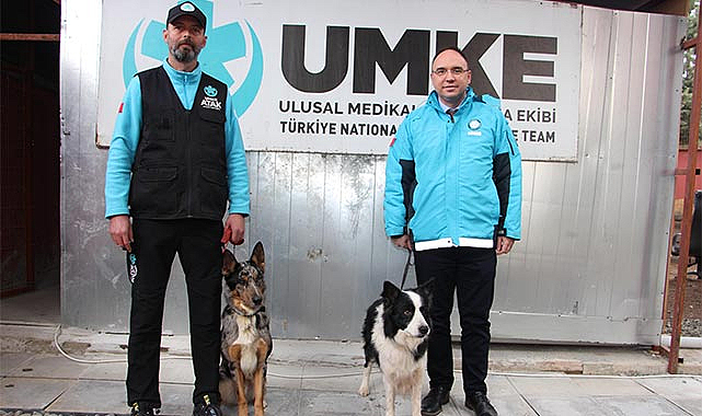 Samsun UMKE'de görevli kurtarma köpekleri: Buddy ve Shollie