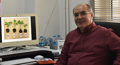 Sıcaklık stresi kışlık bitkilerin büyümesini nasıl engelliyor?