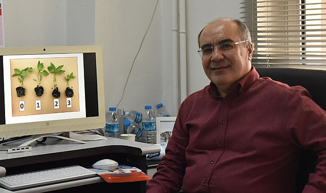 Sıcaklık stresi kışlık bitkilerin büyümesini nasıl engelliyor?