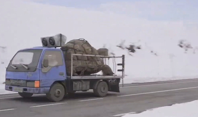 Sosyal medyayı sallayan dev kaplumbağa görüntüsü