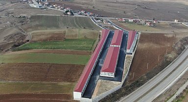 Vezirköprü Galericileri Sitesi asfalt yollarla kaplandı