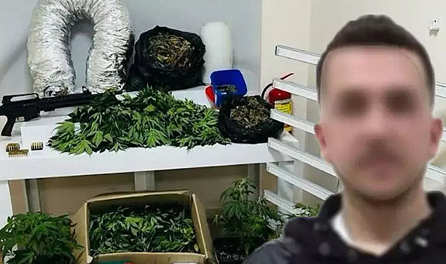 Zeytinburnu'nda evi kenevir tarlasına çevirdi!