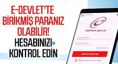 e-Devlet'te birikmiş paranız olabilir! Hesabınızı kontrol edin