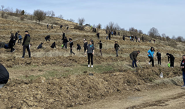 Havza'da 300 öğrenci 1000 fidanı toprakla buluşturdu