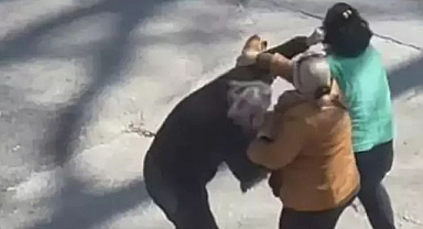 İki kadın yol ortasında saç baş birbirine girdi