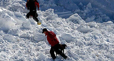 Japonya’da çığ felaketi: 3 kişi kayıp