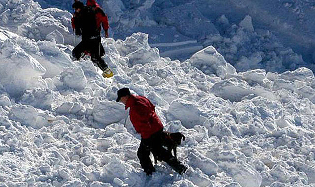 Japonya’da çığ felaketi: 3 kişi kayıp