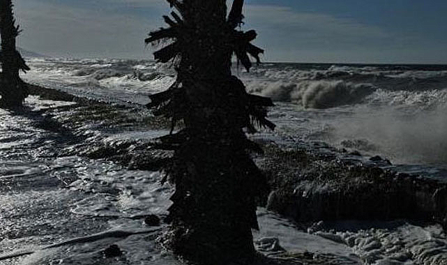 Karadeniz'de dev dalgalar sahilleri dövdü