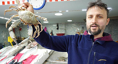 Mavi yengeçler balıkçılarının korkulu rüyası
