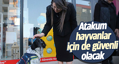 Özlem Maraş: Atakum hayvanlar için de güvenli olacak