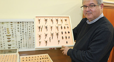 Prof. Dr. İzzet  Akça'dan 'vektör' uyarısı!