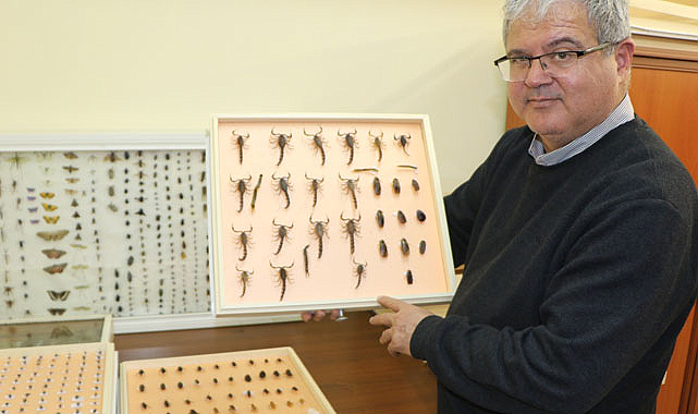 Prof. Dr. İzzet  Akça'dan 'vektör' uyarısı!