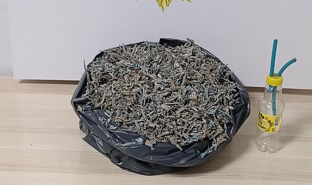 Samsun’da ‘bonzai’ ticaretine darbe!