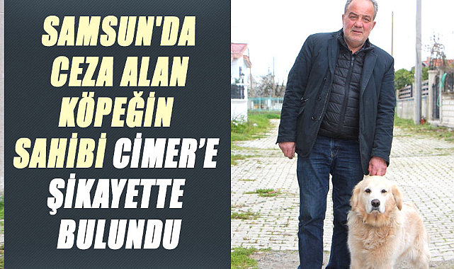 Samsun'da ceza alan köpeğin sahibi CİMER’e şikayette bulundu