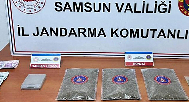 Samsun'da jandarma 1 kilo bonzai ele geçirdi