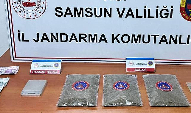 Samsun'da jandarma 1 kilo bonzai ele geçirdi
