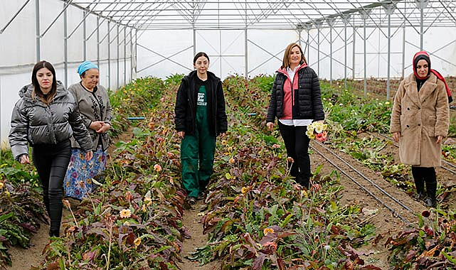 Samsun'da kadın çiftçilere yönelik tarımsal projelerde başarı