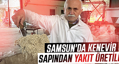 Samsun'da kenevir sapından yakıt üretildi