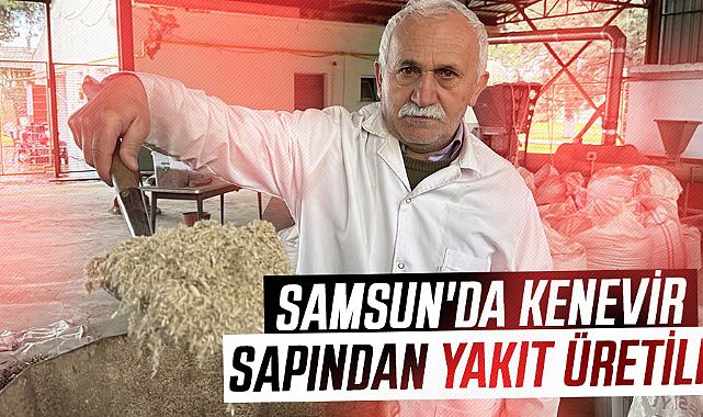 Samsun'da kenevir sapından yakıt üretildi