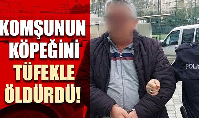 Samsun'da komşunun köpeğini tüfekle öldürdü!