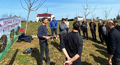Samsun'da meyvecilikte dikkat edilecek hususlar