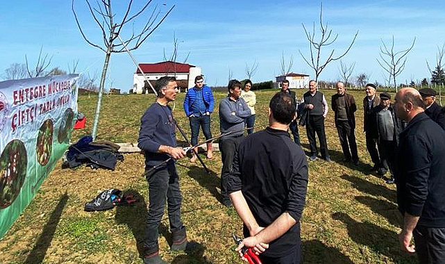 Samsun'da meyvecilikte dikkat edilecek hususlar