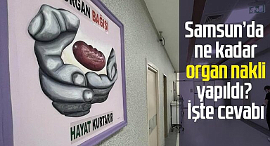 Samsun'da ne kadar organ nakli yapıldı? İşte cevabı