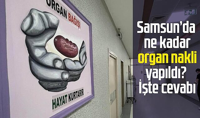 Samsun'da ne kadar organ nakli yapıldı? İşte cevabı