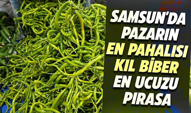 Samsun'da pazarın en pahalısı kıl biber, en ucuzu pırasa
