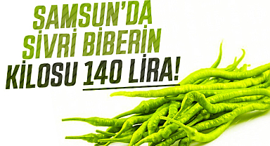 Samsun’da sivri biberin kilosu 140 lira!