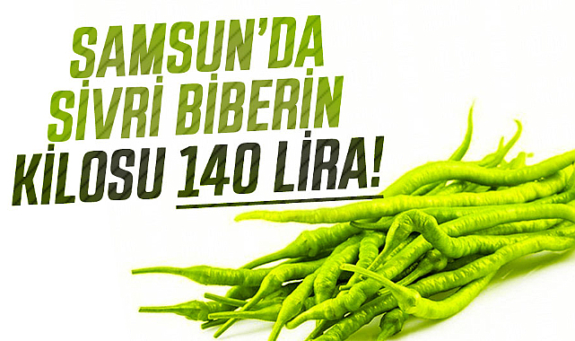 Samsun’da sivri biberin kilosu 140 lira!