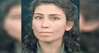 Terörün gençlik ayağına MİT darbesi