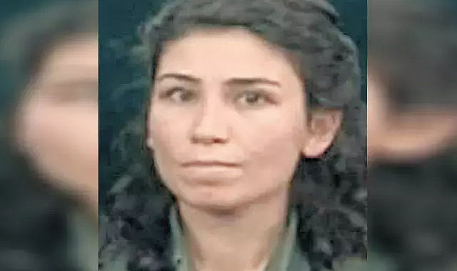 Terörün gençlik ayağına MİT darbesi