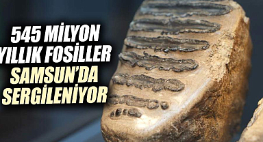  545 milyon yıllık fosiller Samsun'da sergileniyor