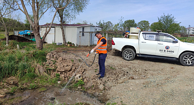 Bafra Belediyesi'nde lavra mücadelesi